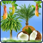 tropic hd android application logo